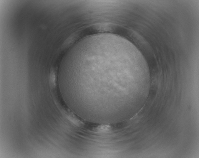 X0000071910124200607212052