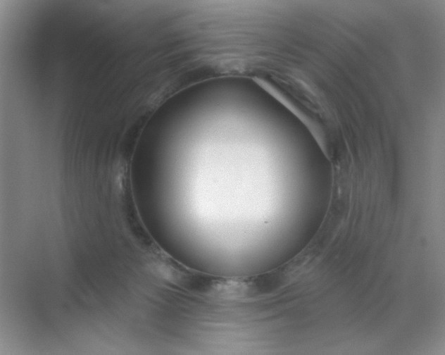 X0000071910125200607212052