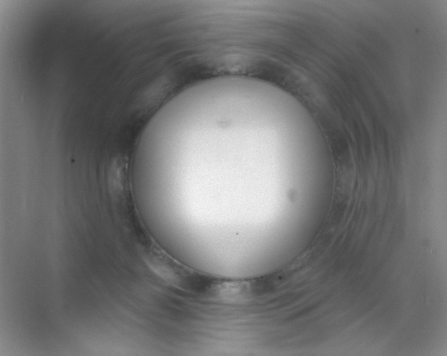 X0000071910126200607212052