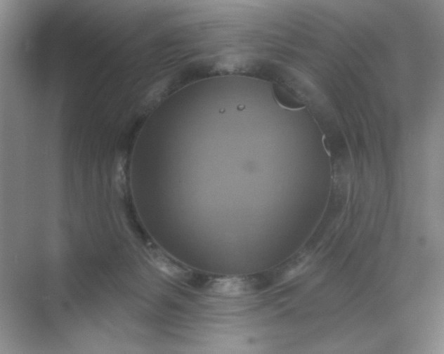 X0000071910127200607212052