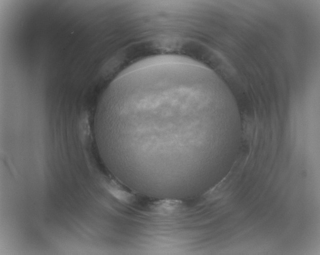 X0000071910128200607212052