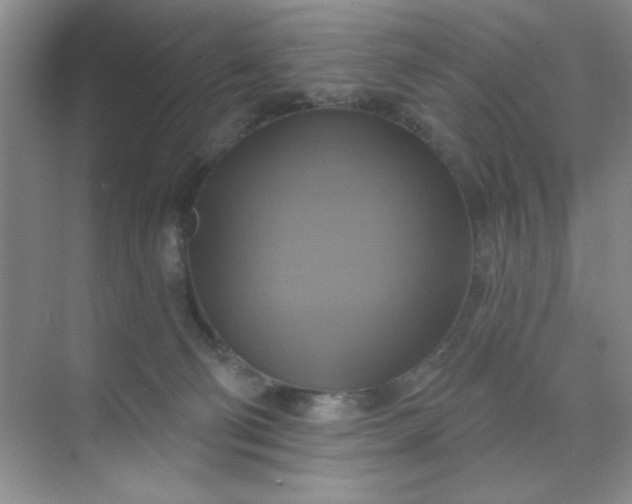 X0000071910130200607212052