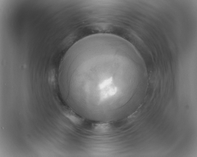 X0000071910132200607212052