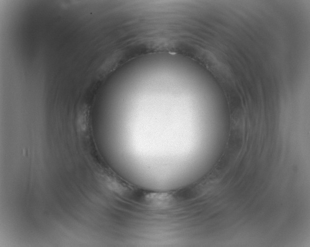 X0000071910133200607212052