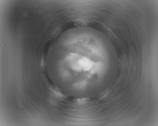 X0000071910134200607212052