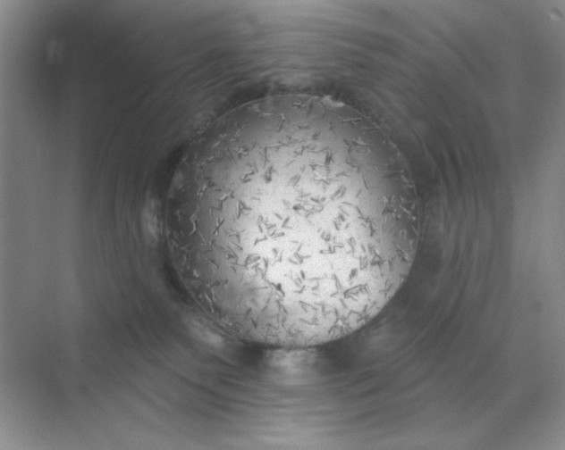 X0000071910135200607212052