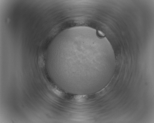 X0000071910136200607212052