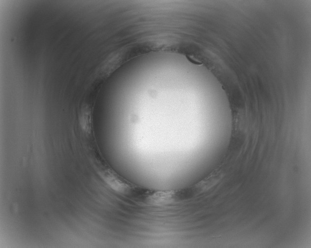 X0000071910138200607212052