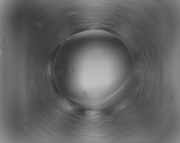 X0000071910139200607212052