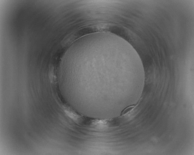 X0000071910140200607212052