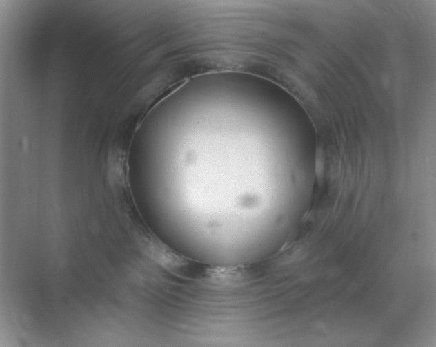 X0000071910141200607212052