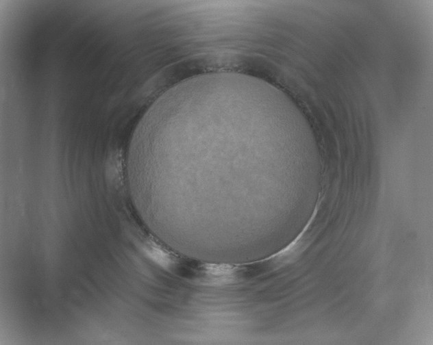 X0000071910144200607212052