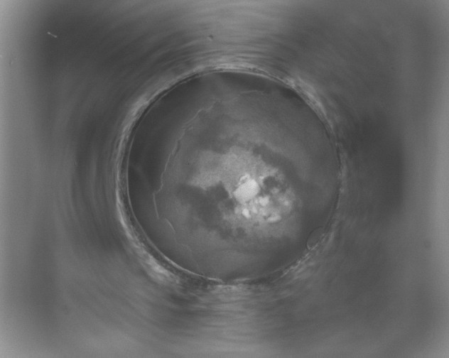 X0000071910145200607212051