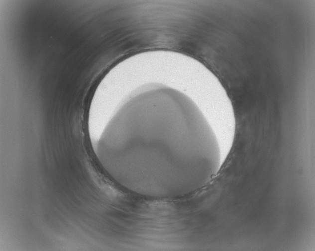 X0000071910146200607212051