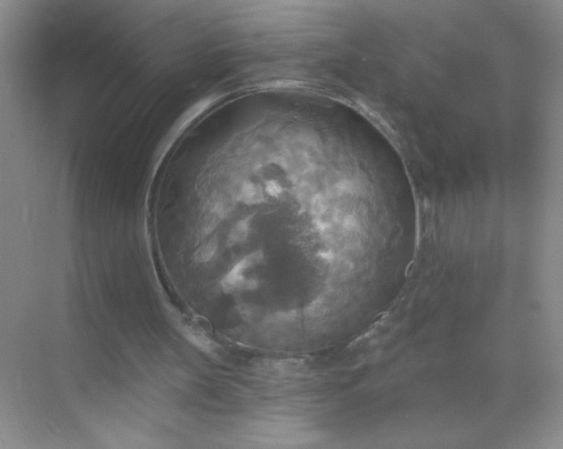 X0000071910147200607212051