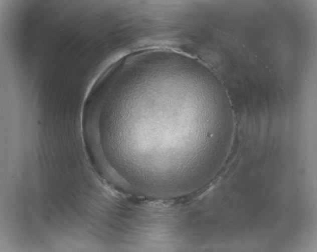 X0000071910148200607212051