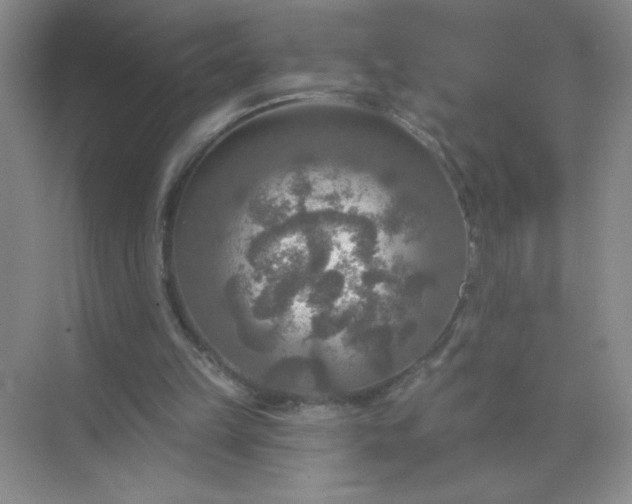 X0000071910149200607212051