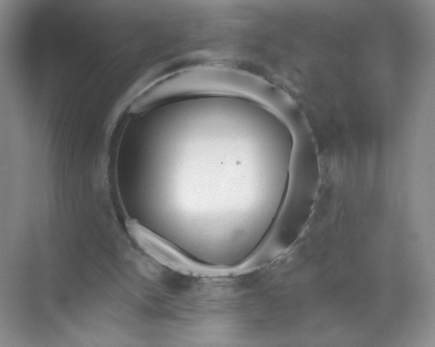 X0000071910150200607212051