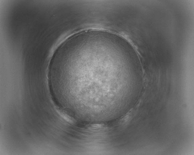 X0000071910151200607212051