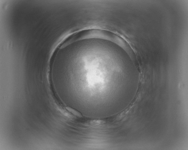 X0000071910152200607212051