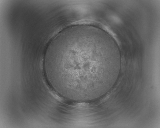 X0000071910153200607212051