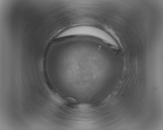 X0000071910154200607212051