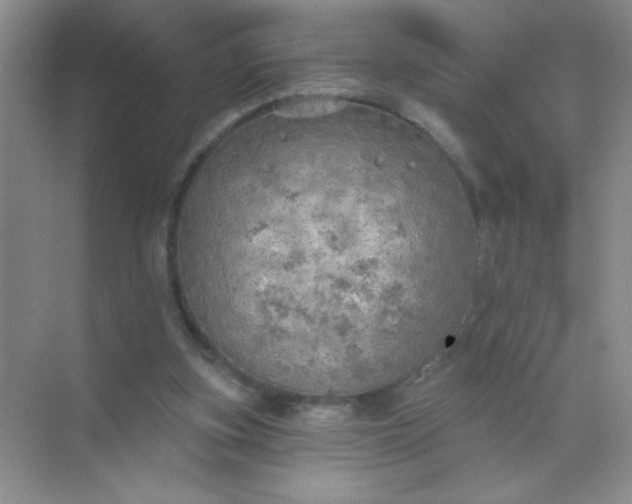 X0000071910155200607212051