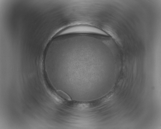 X0000071910156200607212051