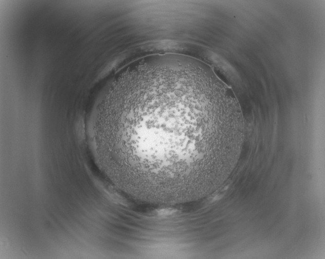 X0000071910158200607212051