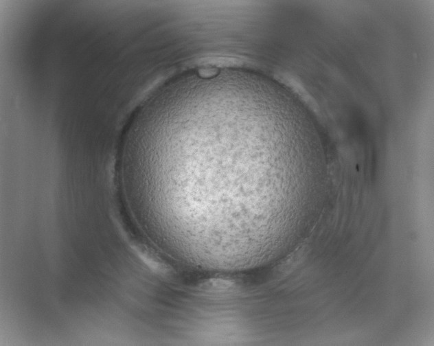 X0000071910159200607212051