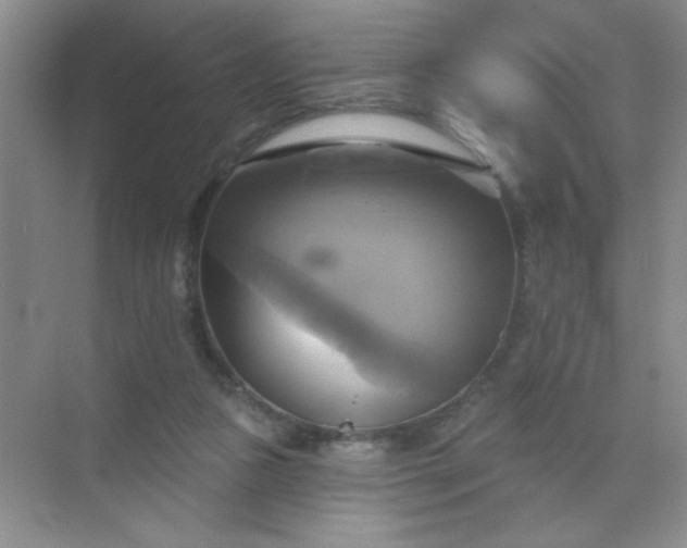 X0000071910161200607212051