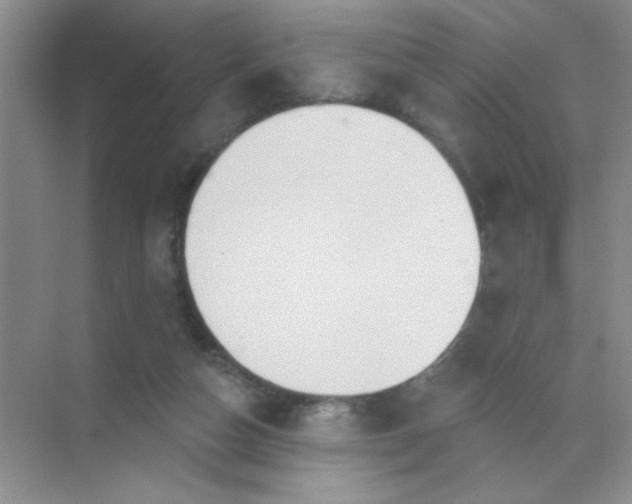 X0000071910162200607212051