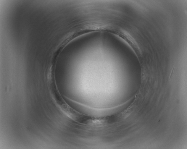 X0000071910163200607212051