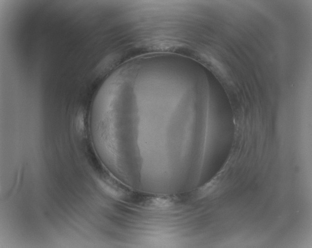 X0000071910166200607212051