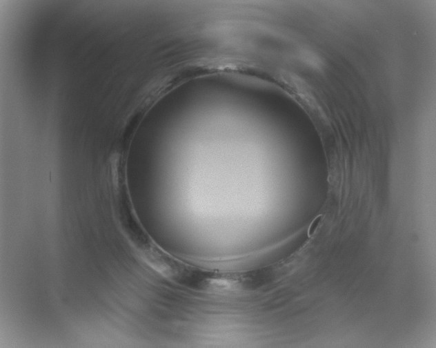 X0000071910167200607212051