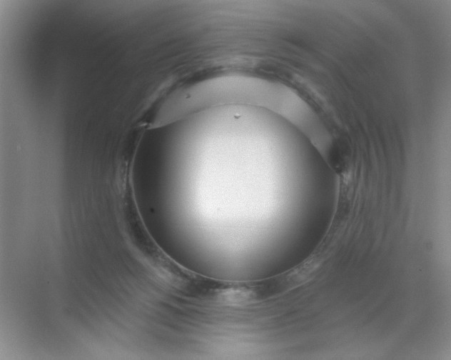 X0000071910168200607212051