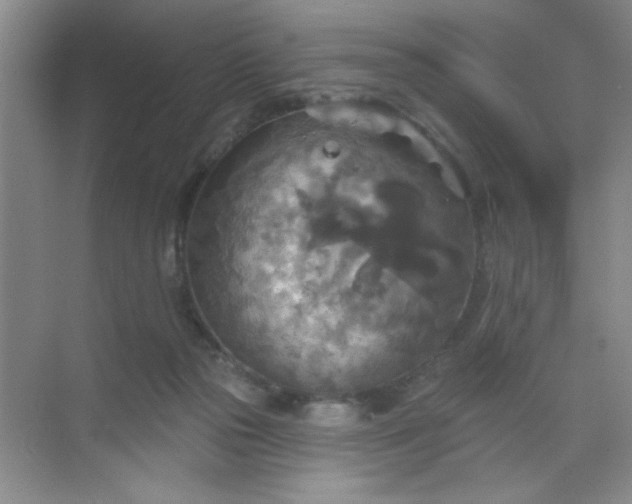 X0000071910169200607212051