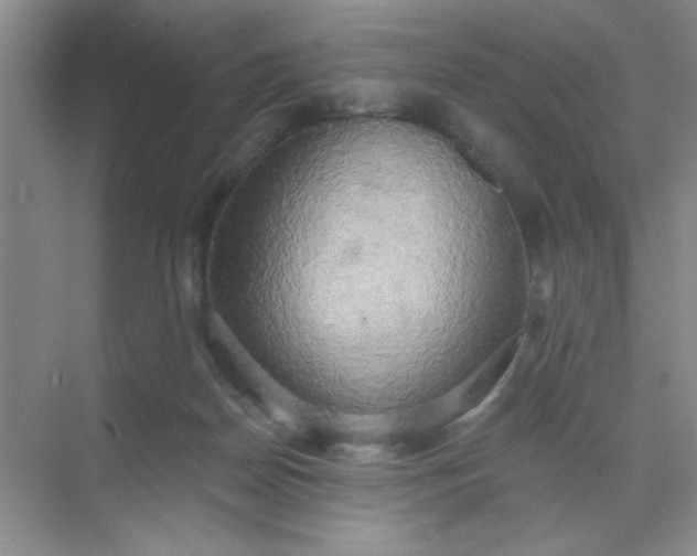 X0000071910170200607212051