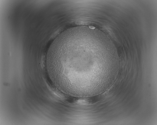 X0000071910171200607212051