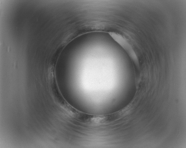 X0000071910172200607212051