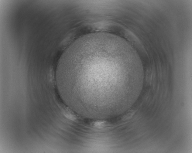 X0000071910173200607212051