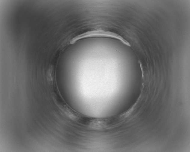 X0000071910174200607212051