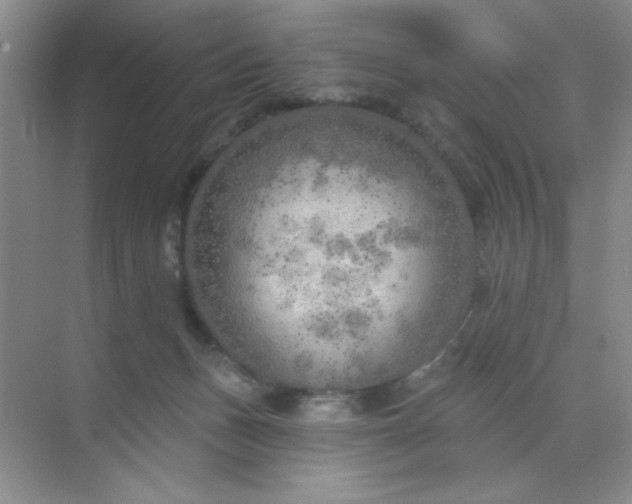 X0000071910175200607212051