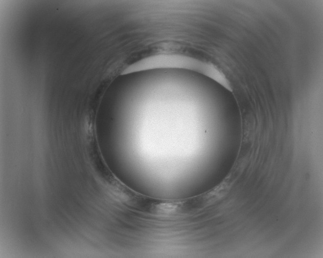 X0000071910176200607212051