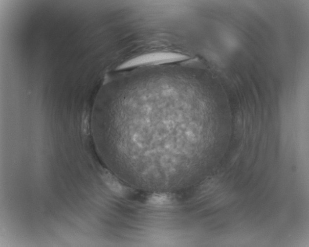 X0000071910177200607212051