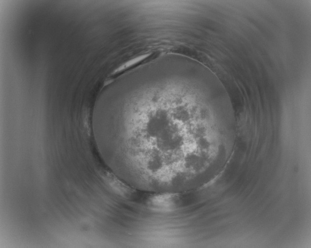 X0000071910178200607212052