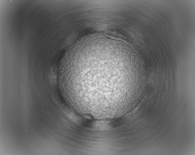 X0000071910179200607212052