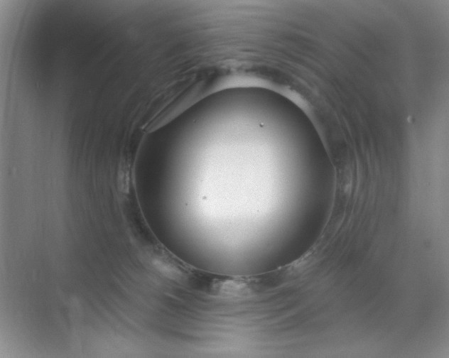 X0000071910180200607212052