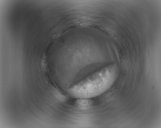 X0000071910181200607212052