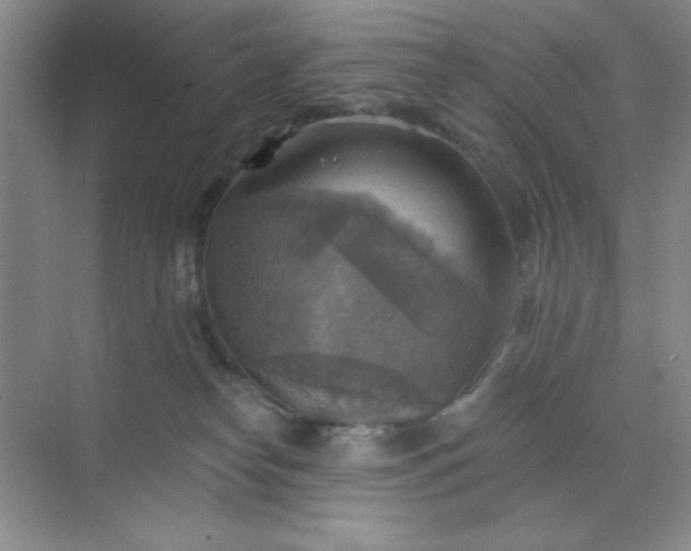 X0000071910182200607212052